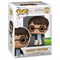 Funko Pop 173 Harry Potter Casting Patronus SDCC24 (Exc) 462909 - фото 11207