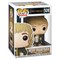 Funko Pop Movies 528 LOTR/Hobbit S3 Merry Brandybuck 262208 - фото 9781